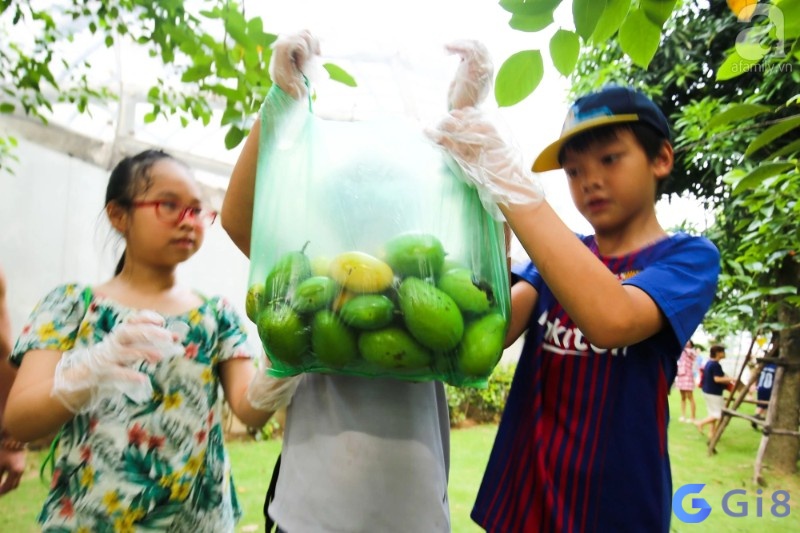 Chủ mơ ghi nhớ rõ tình tiết để có được điềm báo chuẩn xác Chủ mơ ghi nhớ rõ tình tiết để có được điềm báo chuẩn xác