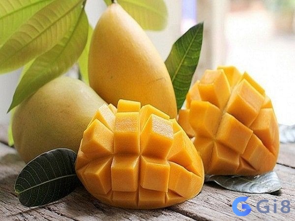 Mơ thấy quả xoài mang nhiều ý nghĩa thú vị khác nhau Mơ thấy quả xoài mang nhiều ý nghĩa thú vị khác nhau