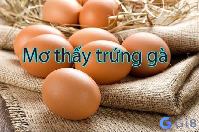 Chiêm bao thấy nhiều trứng gà cho thấy bạn sẽ thành công lớn trong tương lai Chiêm bao thấy nhiều trứng gà cho thấy bạn sẽ thành công lớn trong tương lai