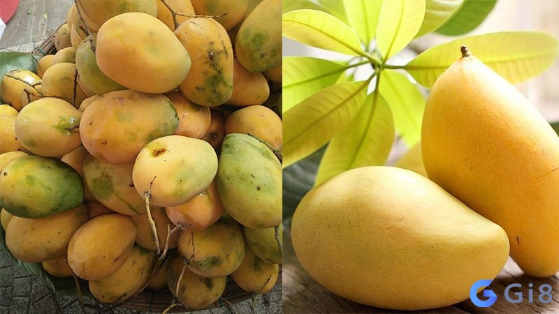 Ngủ mơ thấy trái cây chín thể hiện khao khát có con của bạn Ngủ mơ thấy trái cây chín thể hiện khao khát có con của bạn