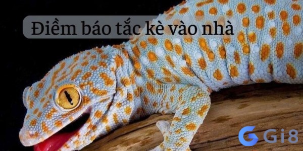 sự xuất hiện của tắc kè trong nhà được coi là một điềm báo tích cực sự xuất hiện của tắc kè trong nhà được coi là một điềm báo tích cực