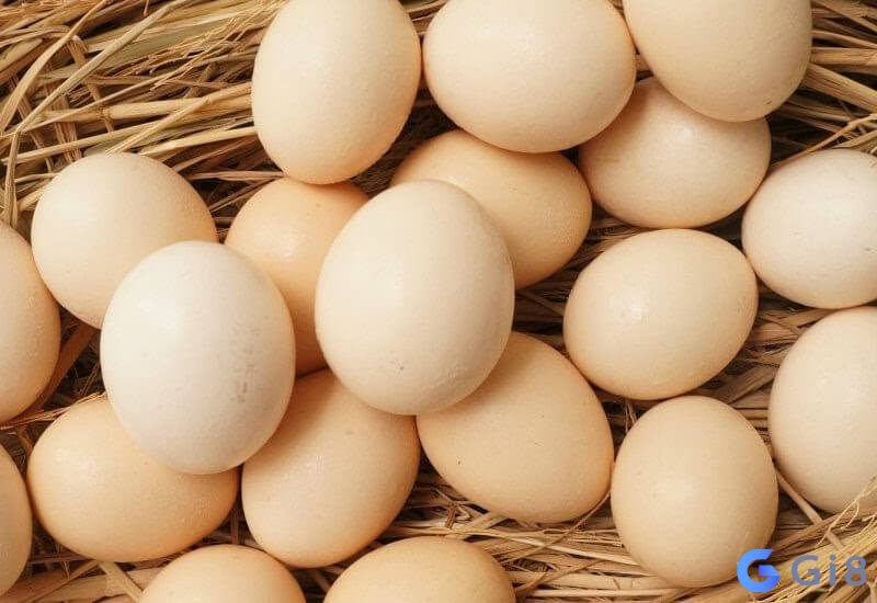 Khám phá chi tiết về những con số may mắn và thành công khi nằm mơ thấy trứng gà Khám phá chi tiết về những con số may mắn và thành công khi nằm mơ thấy trứng gà