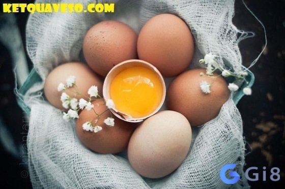 Cùng Gi88 tìm hiểu chi tiết về giấc mơ thấy ăn trứng gà đánh số may nhé Cùng Gi88 tìm hiểu chi tiết về giấc mơ thấy ăn trứng gà đánh số may nhé