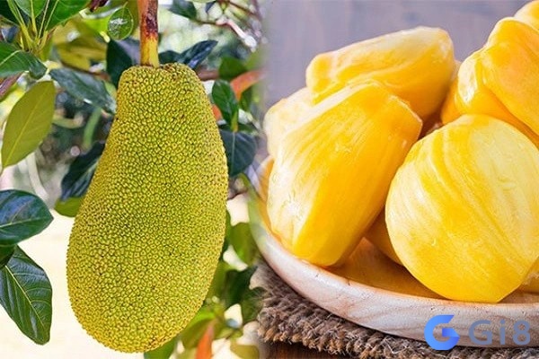 Mo thay mit có ý nghĩa giúp chủ mơ tránh xa vận hạn xui xẻo Mo thay mit có ý nghĩa giúp chủ mơ tránh xa vận hạn xui xẻo