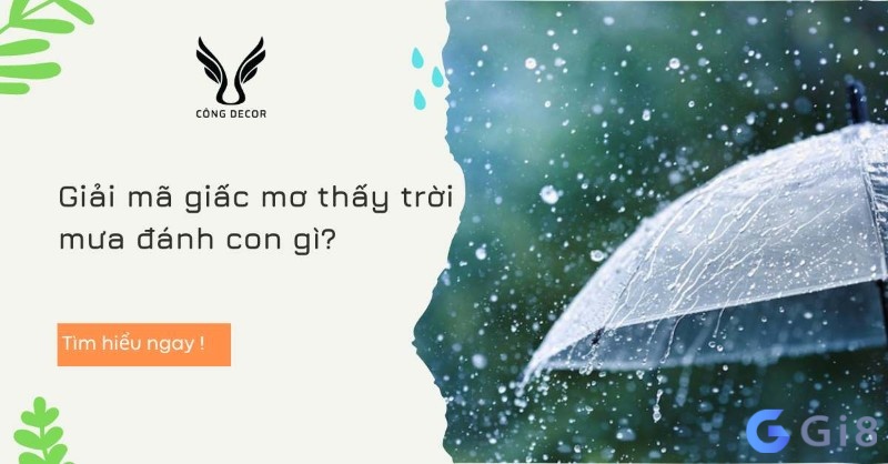 Cùng Gi88 tìm hiểu chi tiết về giấc mơ trời mưa đánh đề con gì nhé Cùng Gi88 tìm hiểu chi tiết về giấc mơ trời mưa đánh đề con gì nhé