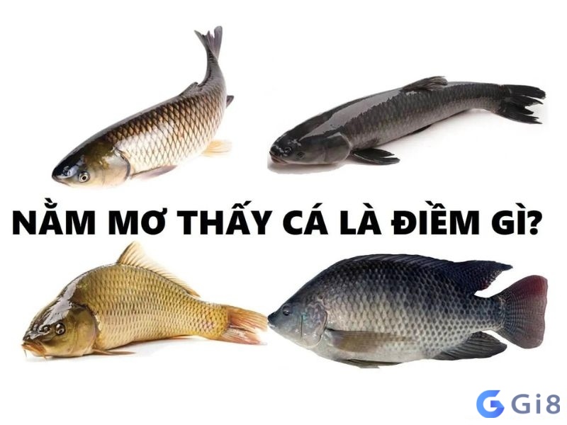 Mơ về cá thường ám chỉ đến những cơ hội mới Mơ về cá thường ám chỉ đến những cơ hội mới