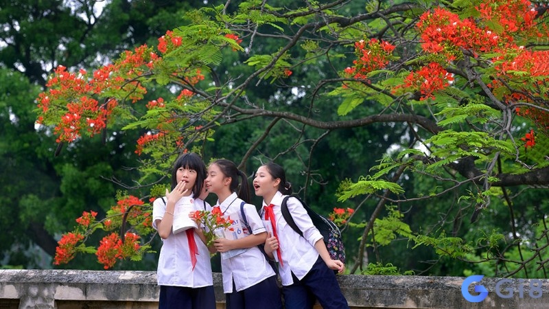 Nằm mơ thấy mình đi học lại là cảm giác bồi hồi về thời học sinh rất khó quên Nằm mơ thấy mình đi học lại là cảm giác bồi hồi về thời học sinh rất khó quên