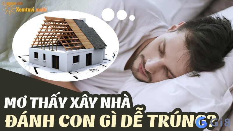 Nằm mơ thấy xây nhà mới đánh con gì dễ ăn tiền nhất? Nằm mơ thấy xây nhà mới đánh con gì dễ ăn tiền nhất?