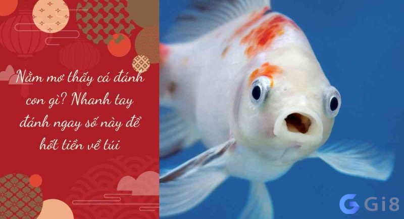 Ngủ mơ bắt được nhiều cá thì nên đánh con gì cho nhanh trúng? Ngủ mơ bắt được nhiều cá thì nên đánh con gì cho nhanh trúng?