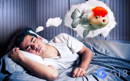 Mơ bắt được nhiều cá sấu, đánh số 89 Mơ bắt được nhiều cá sấu, đánh số 89