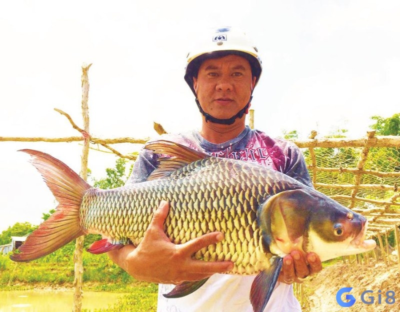Nắm rõ dự báo chiêm bao để có sự ứng phó tốt nhất cho sự kiện tương lai Nắm rõ dự báo chiêm bao để có sự ứng phó tốt nhất cho sự kiện tương lai