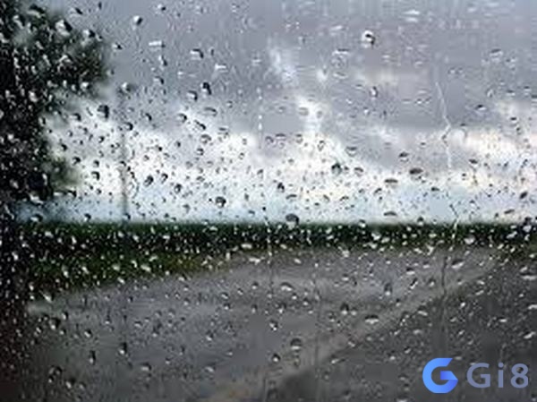 Nằm mơ thấy đi trong trời mưa và giải mã theo ngữ cảnh chi tiết Nằm mơ thấy đi trong trời mưa là điềm báo tốt hay xấu