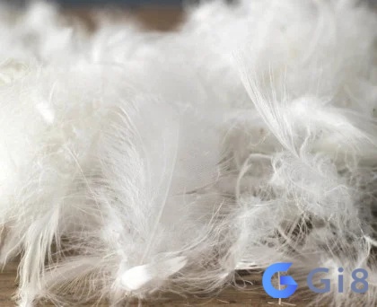 Nếu chiêm bao thấy lông vịt thì có khi bạn sắp được lên lương Nằm mơ thấy vịt là điềm tốt, và nếu là mơ thấy lông vịt thì có thể bạn sắp được lên lương