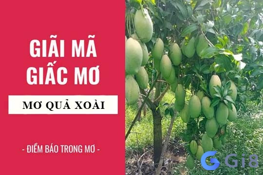 Những giấc mơ thấy quả xoài là xấu hay tốt? Hãy cùng tìm hiểu những trường hợp cụ thể nhé! Mơ thấy xoài có thể là tốt và xấu xen kẽ, nằm mơ thấy xoài chín đánh số gì?