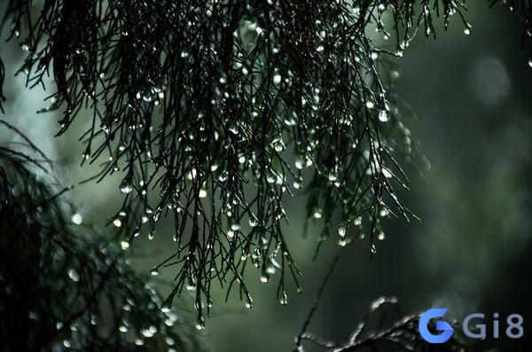Trời mưa số mấy – Mơ trời mưa là hiện tượng phổ biến Trời mưa số mấy - Mơ trời mưa là hiện tượng phổ biến