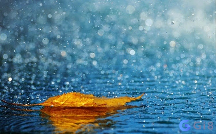 Trời mưa số mấy – Mơ trời mưa giải mã theo tình tiết Trời mưa số mấy - Mơ trời mưa giải mã theo tình tiết