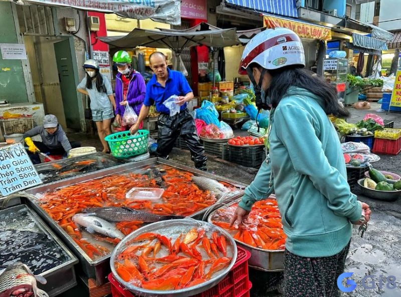 Chiêm bao giúp cho chủ mộng dự đoán chuyện trong tương lai Chiêm bao giúp cho chủ mộng dự đoán chuyện trong tương lai