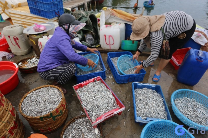 Dựa vào tình tiết mơ để tìm ra con số đề đúng nhất Dựa vào tình tiết mơ để tìm ra con số đề đúng nhất