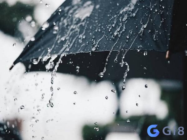 Mo thay mua mang lại bộ số đề theo bối cảnh chiêm bao Mo thay mua mang lại bộ số đề theo bối cảnh chiêm bao