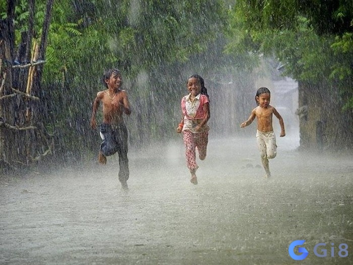 Chủ mộng nắm rõ dự báo để chuẩn bị cho những gì xảy ra Chủ mộng nắm rõ dự báo để chuẩn bị cho những gì xảy ra