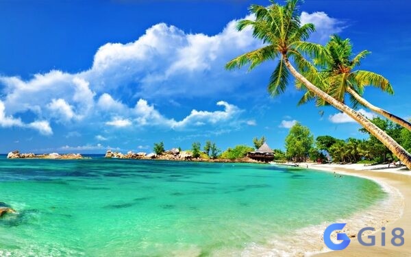 Dựa vào bối cảnh mơ thấy nước biển để lựa chọn ra con số chuẩn xác Dựa vào bối cảnh mơ thấy nước biển để lựa chọn ra con số chuẩn xác
