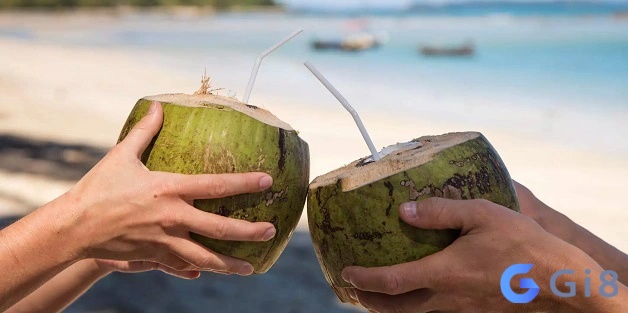 Mơ thấy uống nước dừa và con số giúp thu bội tiền thưởng Mơ thấy uống nước dừa và con số giúp thu bội tiền thưởng