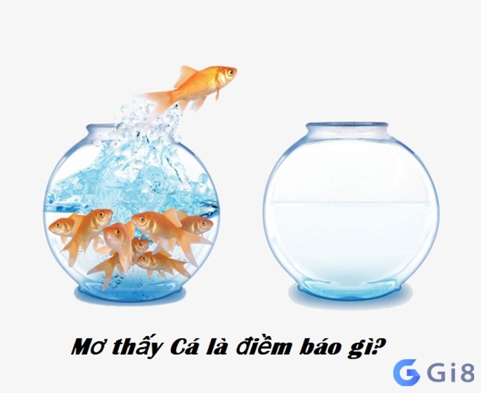 Nam mo thay ca mang điềm báo gì? Nam mo thay ca mang điềm báo gì?
