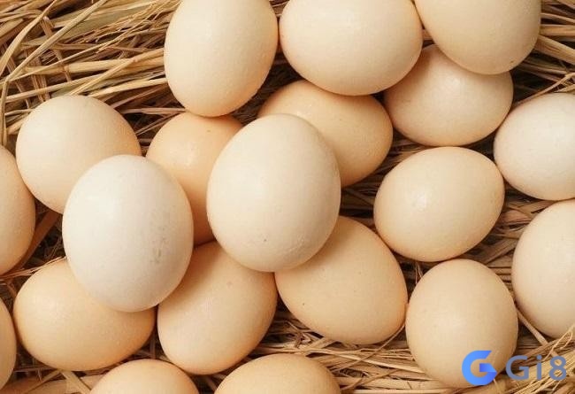 Mơ thấy trứng gà mang đến ý nghĩa độc đáo Mơ thấy trứng gà mang đến ý nghĩa độc đáo