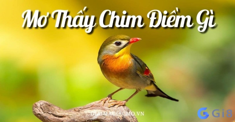 Nếu nằm mơ và thấy hình ảnh này thì điềm báo cho thấy bạn là sắp gặp nhiều chuyển biến bất ngờ. Nếu nằm mơ và thấy hình ảnh này thì điềm báo cho thấy bạn là sắp gặp nhiều chuyển biến bất ngờ.