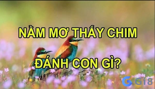 Mộng nằm ngủ mơ thấy con chim đánh đề con gì may mắn Mộng nằm ngủ mơ thấy con chim đánh đề con gì may mắn