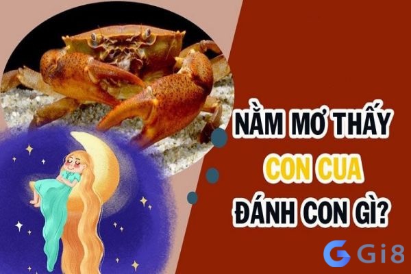 Chiêm bao nằm ngủ mơ thấy con cua đánh đề con gì may mắn Chiêm bao nằm ngủ mơ thấy con cua đánh đề con gì may mắn