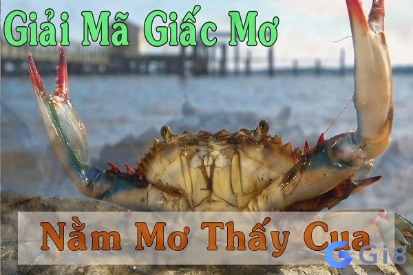 Giải mã ngủ mơ thấy con cua đánh đề con gì Giải mã ngủ mơ thấy con cua đánh đề con gì