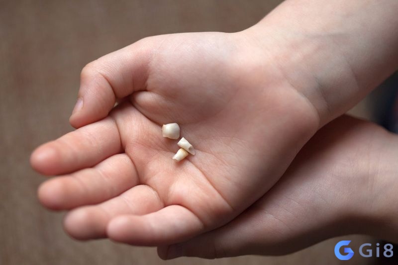 Chiêm bao luận giải theo bối cảnh mơ cụ thể Chiêm bao luận giải theo bối cảnh mơ cụ thể