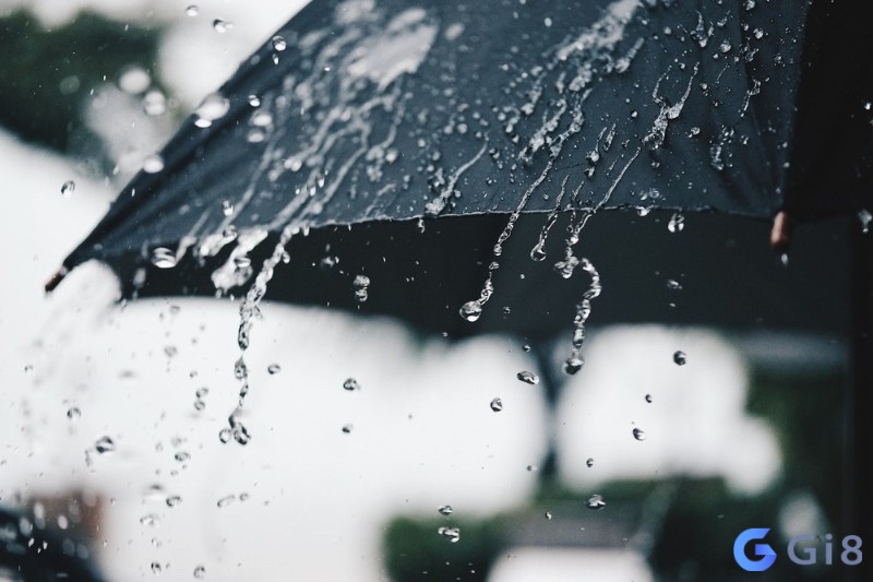 Luận giải trời mưa đánh số mấy theo những gì chủ mơ trải nghiệm Luận giải trời mưa đánh số mấy theo những gì chủ mơ trải nghiệm