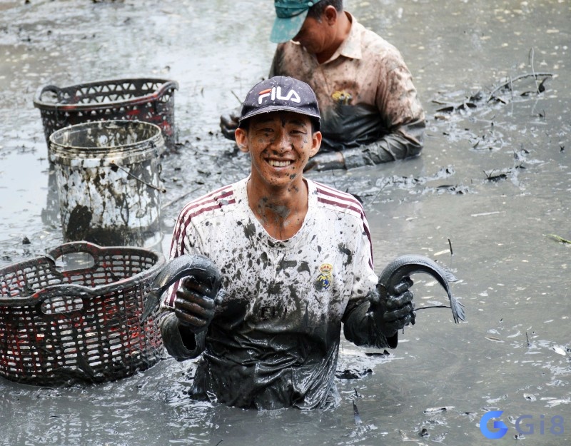 Chiêm bao thấy bắt cá cho thấy điềm báo tốt về tài chính Chiêm bao thấy bắt cá cho thấy điềm báo tốt về tài chính