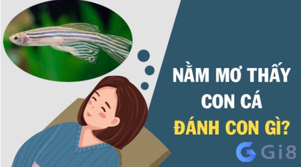 Nằm mơ thấy con cá đánh đề con gì dễ ăn? Nằm mơ thấy con cá đánh đề con gì dễ ăn?