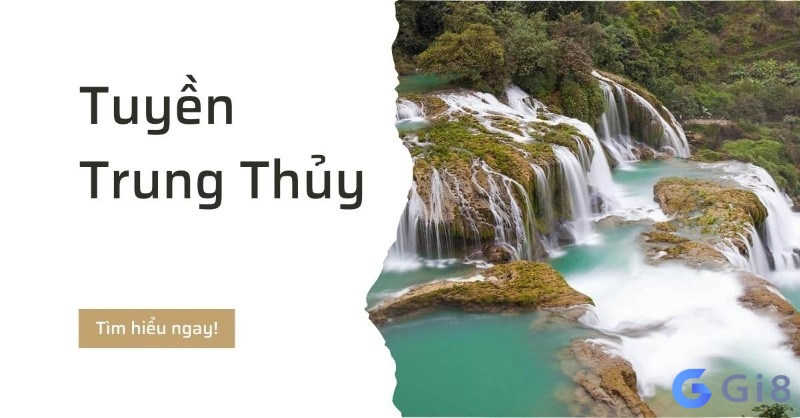 Mệnh tuyền trung thuỷ là một trong sáu mệnh thuộc hành thủy trong ngũ hành Mệnh tuyền trung thuỷ là một trong sáu mệnh thuộc hành thủy trong ngũ hành