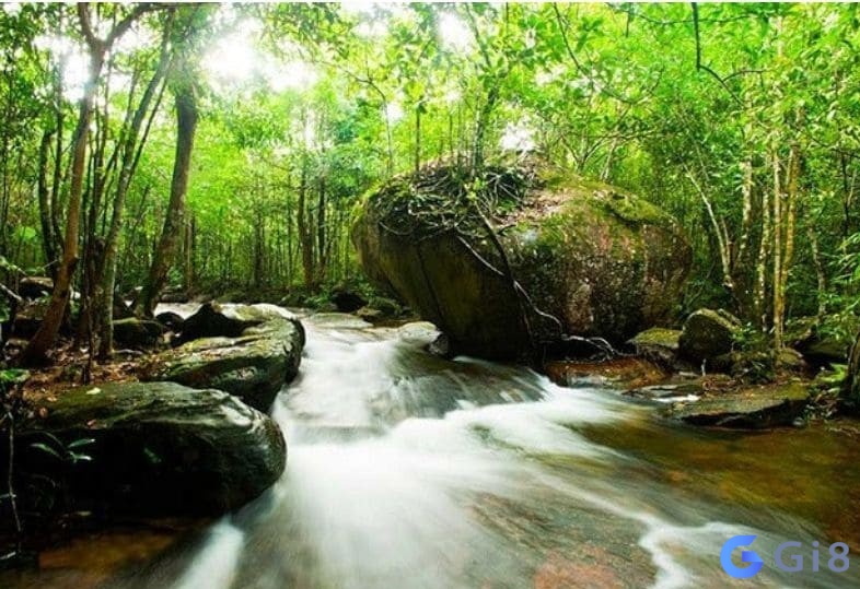 Người mang mệnh tuyền trung thùy phù hợp với công việc tính toán, sử dụng đầu óc Người mang mệnh tuyền trung thùy phù hợp với công việc tính toán, sử dụng đầu óc