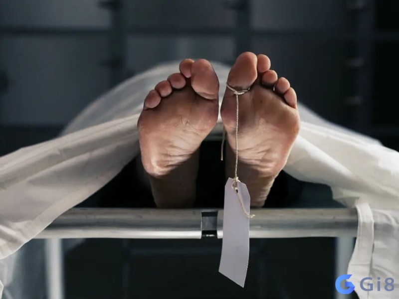 Ngủ mơ thấy chồng chết đừng quá lo lắng vì đó là điềm báo tốt Ngủ mơ thấy chồng chết đừng quá lo lắng vì đó là điềm báo tốt
