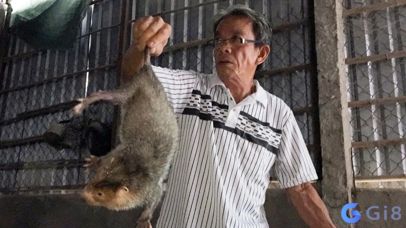 Mơ thấy dúi bò lên người thể hiện sự mệt mỏi trong bạn Mơ thấy dúi bò lên người thể hiện sự mệt mỏi trong bạn