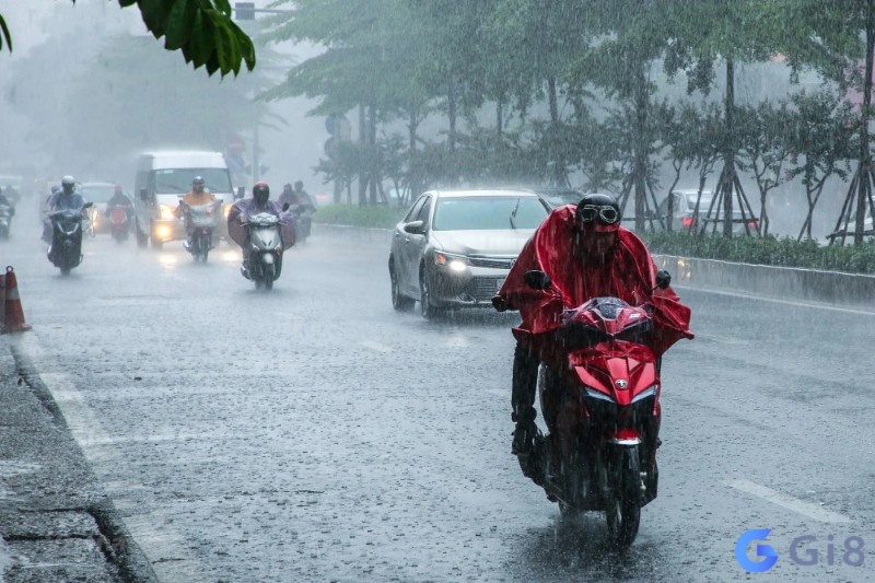 Mơ thấy trời mưa lớn mang tới con số đề may mắn trúng lớn Mơ thấy trời mưa lớn mang tới con số đề may mắn trúng lớn