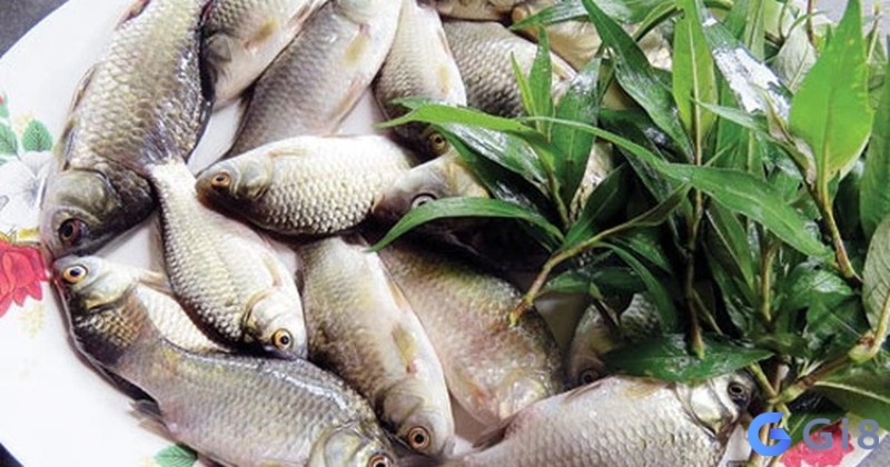 Chiêm bao thấy mình đang ăn cá diếc là dấu hiệu của sự may mắn Chiêm bao thấy mình đang ăn cá diếc là dấu hiệu của sự may mắn