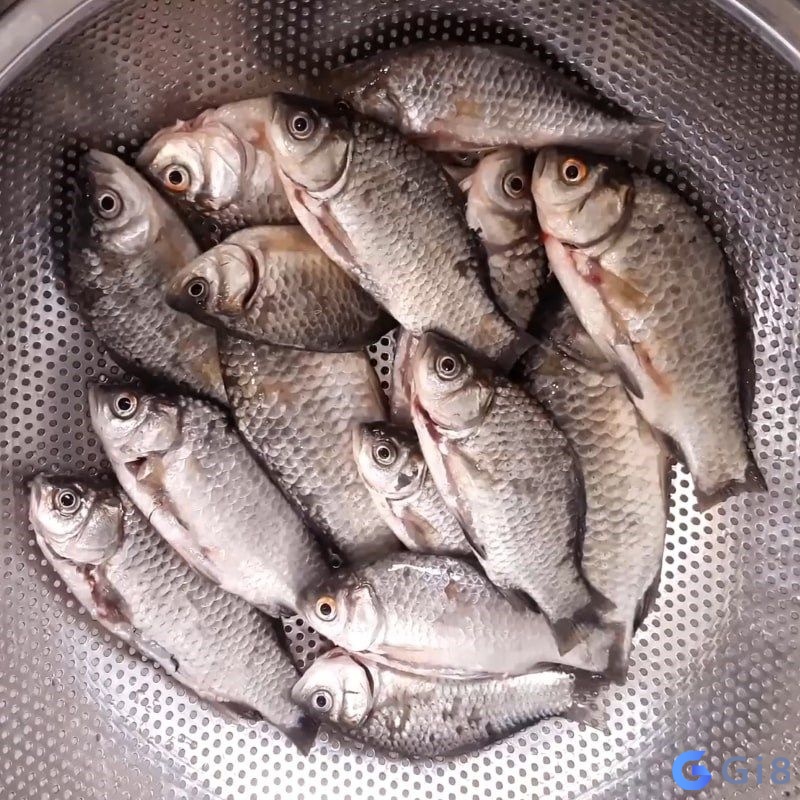 Nằm mơ thấy mình làm thịt cá diếc cho thấy bạn là người dễ mất niềm tin Nằm mơ thấy mình làm thịt cá diếc cho thấy bạn là người dễ mất niềm tin