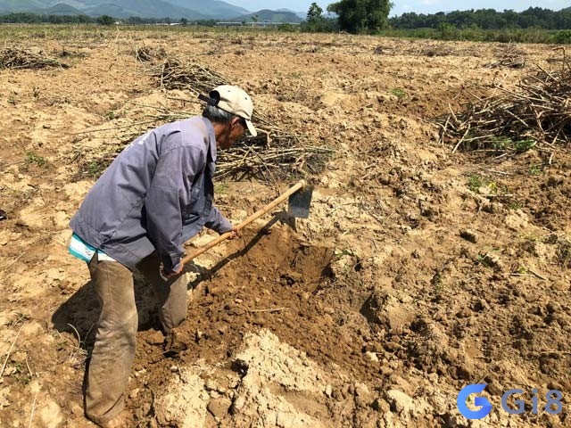 Lý giải mộng cuốc đất Lý giải mộng cuốc đất