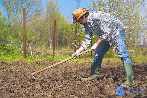 Giấc mơ cuốc đất để dọn dẹp này có thể phản ánh sự cần thiết phải làm sạch và tổ chức lại cuộc sống của bạn Giấc mơ cuốc đất để dọn dẹp này có thể phản ánh sự cần thiết phải làm sạch và tổ chức lại cuộc sống của bạn