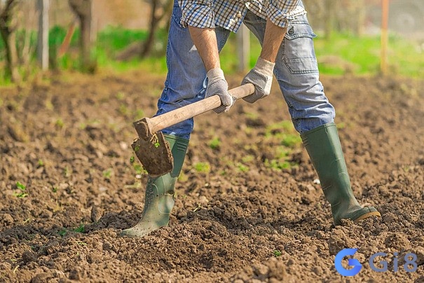 Giấc mơ người khác cuốc đất này có thể biểu thị rằng sẽ có tiến triển trong cuộc sống của người khác Giấc mơ người khác cuốc đất này có thể biểu thị rằng sẽ có tiến triển trong cuộc sống của người khác