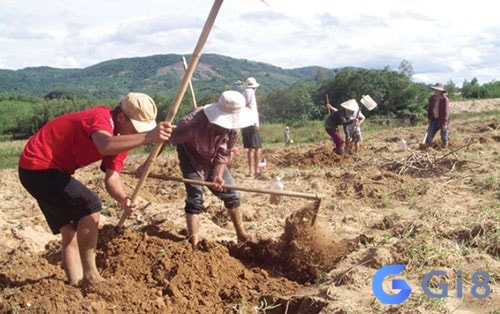 Đi sâu vào “mơ thấy cuốc đất đánh đề con gì” tại gi88 nhé! Đi sâu vào “mơ thấy cuốc đất đánh đề con gì” tại gi88 nhé!