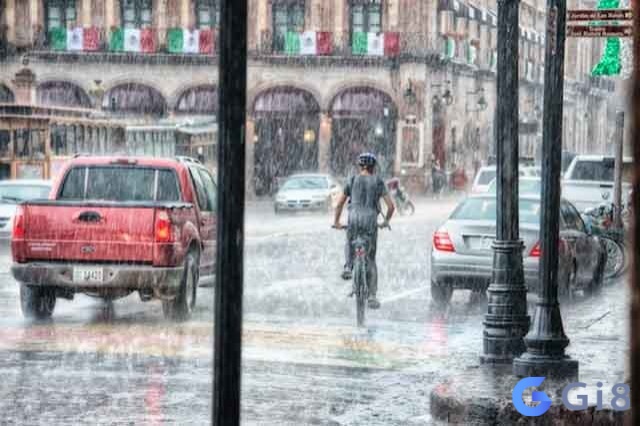 Mơ thấy đi dưới mưa chứa đựng nhiều điềm báo cho cuộc sống Mơ thấy đi dưới mưa chứa đựng nhiều điềm báo cho cuộc sống