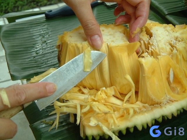 Mơ thấy chế biến mít tượng trưng cho sự sáng tạo và khả năng biến những ý tưởng thành hiện thực Mơ thấy chế biến mít tượng trưng cho sự sáng tạo và khả năng biến những ý tưởng thành hiện thực