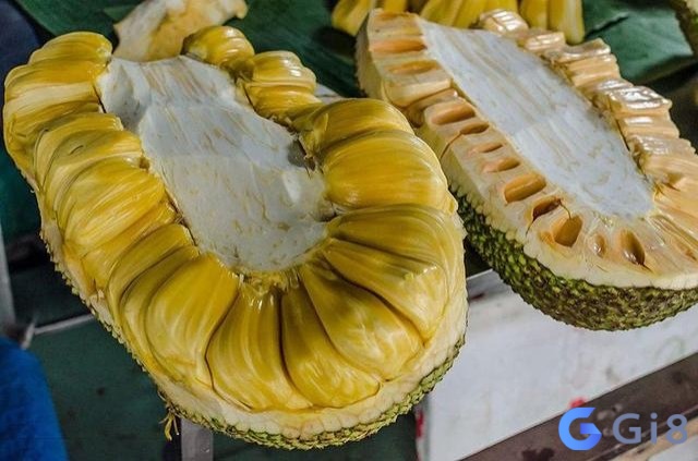 Mơ ăn mít chín ngọt lịm mang ý nghĩa tích cực Mơ ăn mít chín ngọt lịm mang ý nghĩa tích cực